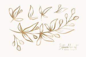 botanisch elegant Gold Linie Kunst Illustration von Blume Blätter Ast zum Hochzeit Einladung und Karten, Logo Design, Netz, Sozial Medien und Poster, Vorlage, Werbung, Schönheit und kosmetisch Industrie. vektor