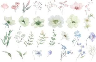 Aquarell Blumen- Satz. Hand gezeichnet Illustration isoliert auf transparent Hintergrund. Vektor Folge.