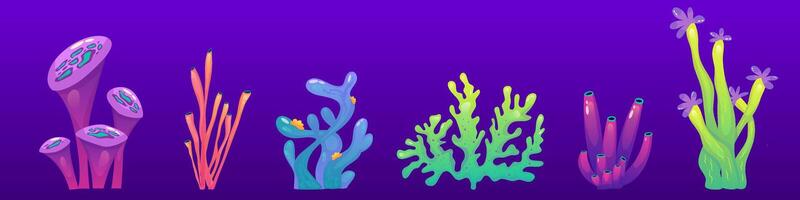 Koralle Riff unter Wasser einstellen mit Algen. Seetang Ozean Pflanze. Koralle einstellen unterseeisch Fauna. Karikatur Riff isoliert. Karikatur Vektor Design.