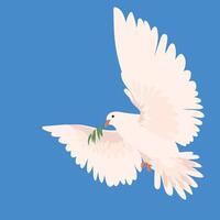 Taube auf ein Blau Hintergrund. Vektor. das Welt berühmt Symbol von Frieden. ein schön glänzend Weiß Taube mit ein Olive Ast nimmt aus in das Blau Himmel. heilig Geist im das bilden von ein Vogel. vektor