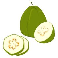 guava, vektor illustration av tropisk grön frukter, hela och i delar. de kött är vit, de hud är grön. en ClipArt markerad på en vit bakgrund.
