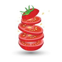 vektor tomat med skivor och hela frukt av tomat bakgrund