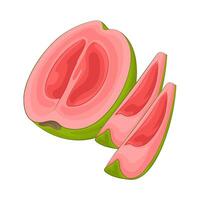 illustration av guava skiva vektor
