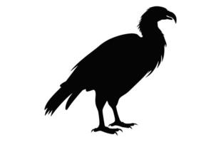 groß Griffon Geier Silhouette isoliert auf ein Weiß Hintergrund, ein fliegend Griffon Geier Schnabel schwarz Vektor