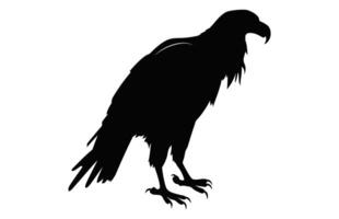 groß Griffon Geier Silhouette isoliert auf ein Weiß Hintergrund, ein fliegend Griffon Geier Schnabel schwarz Vektor