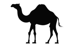 Kamel Silhouette Vektor schwarz Clip Art isoliert auf ein Weiß Hintergrund