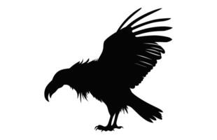 fliegend Griffon Geier Schnabel schwarz Vektor, groß Griffon Geier Silhouette isoliert auf ein Weiß Hintergrund vektor