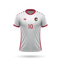 3d realistisk fotboll jersey jordan nationell team 2024 vektor