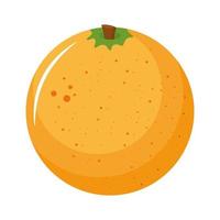 orange citrusfrukt ikon vektor
