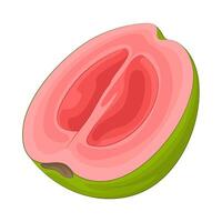Illustration von Hälfte Guave vektor