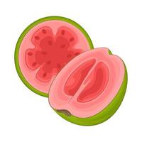 Illustration von Hälfte Guave vektor