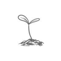 Hand gezeichnet skizzieren von Baum Pflanzen. Saat sprießen im das Boden. Sämlinge von ein Garten Pflanze. Sprossen, Pflanzen, Bäume. vektor