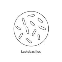 pathogen Bakterien. bakteriell Mikroorganismus. Mikrobiologie, Infografiken. Hand gezeichnet Gekritzel Stil. vektor