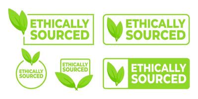 einstellen von Grün ethisch bezogen Etiketten mit Blatt Symbole, zum Produkte verantwortlich Beschaffung und korporativ Ethik. vektor