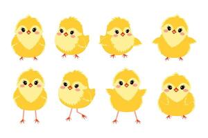 Sammlung von süß Karikatur Küken. acht bezaubernd illustriert Gelb Küken auf ein Weiß Hintergrund, perfekt zum Ostern Entwürfe. Frühling Geflügel Babys im anders Posen. Vektor Illustration.
