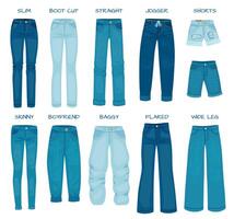 kvinnor jeans passar. denim kvinna byxor modeller mager, hetero, smal, pojkvän och känga skära. silhuett stilar av jean byxor vektor uppsättning