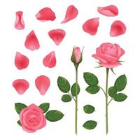 rosa rosenknospen blütenblätter schöne romantische hochzeitspflanzen rosen mit blättern vektorrealistische bilder set rosenblüten rosa hochzeitsdekorationsillustration vektor