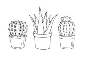 Vektor Hand gezeichnet Gekritzel einstellen von Kaktus und Aloe