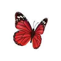 Schmetterlinge realistische farbige Insekten schöne Motte Vektorsammlung Schmetterlinge Illustrationssatz fliegender Schmetterling rot schwarz