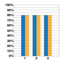 80 procent Graf med dubbel- barer. demonstrativ design och statistik. data samling och finansiell investeringar vektor