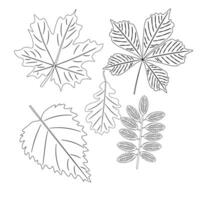 Wald Blätter im skizzieren Stil, isoliert Vektor Illustration. ein einstellen von Blätter im ein linear Stil. botanisch minimalistisch drucken.