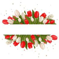 vår rektangulär ram med vit röd tulpaner för ord och text. vektor bakgrund mall med blommor för design, hälsning kort, baner, styrelse, flygblad, försäljning, affisch