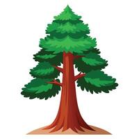 redwood träd isolerat platt vektor illustration