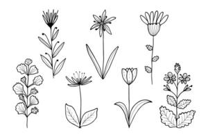 Hand gezeichnet Blumen und Geäst Gekritzel. Vektor Illustration