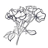 Hand Zeichnung von ein Strauß von Rose Blumen Vektor Illustration