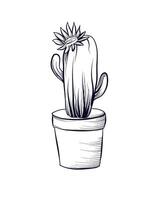 hand teckning av en blommande kaktus i en pott vektor