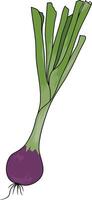 vektor purjolök vegetabiliska illustration
