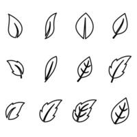 Blatt Design Symbol. Grün Blatt Pflanze Symbol Natur vektor