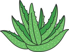 Aloe vera Pflanze. Hand gezeichnet Vektor Illustration isoliert auf Weiß Hintergrund.