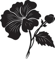 Begonie Blume Silhouette Vektor Illustration Weiß Hintergrund