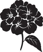 Hortensie Blume Silhouette Vektor Illustration Weiß Hintergrund