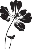 Geranie Blume Silhouette Vektor Illustration Weiß Hintergrund