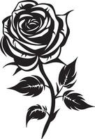 Rose Blume Silhouette Vektor Illustration Weiß Hintergrund