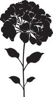 Hortensie Blume Silhouette Vektor Illustration Weiß Hintergrund