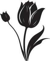 Tulpe Blume Silhouette Vektor Illustration Weiß Hintergrund