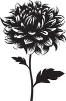 dahlia blomma silhuett vektor illustration vit bakgrund