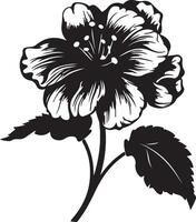 Begonie Blume Silhouette Vektor Illustration Weiß Hintergrund