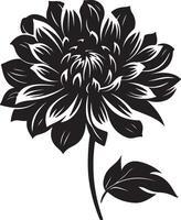 Dahlie Blume Silhouette Vektor Illustration Weiß Hintergrund