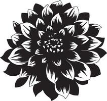 Dahlie Blume Silhouette Vektor Illustration Weiß Hintergrund