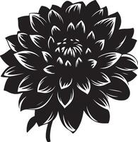 dahlia blomma silhuett vektor illustration vit bakgrund