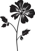 Geranie Blume Silhouette Vektor Illustration Weiß Hintergrund