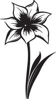 Narzisse Blume Silhouette Vektor Illustration Weiß Hintergrund