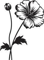geranium blomma silhuett vektor illustration vit bakgrund
