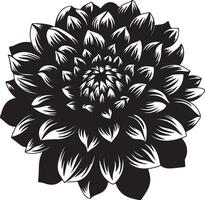 dahlia blomma silhuett vektor illustration vit bakgrund