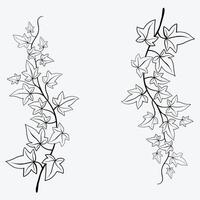 Blumenefeu, der flaches Design der dekorativen Verzierung zeichnet. vektor