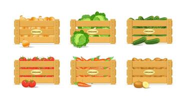 lådor med grönsaker. morötter, potatisar, tomater, gurkor, lök, kål. vektor illustration
